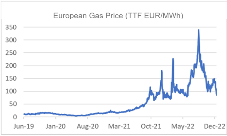 Finance4Learming | European Gas Price (TTF EUR/MWh)