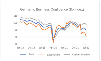 Finance4Learning | Germany: Business Confidence (Ifo index)