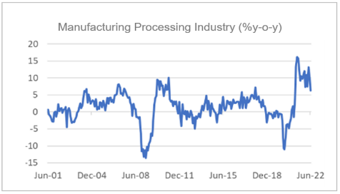 Finance4Learning | Manufacturing Processing Industry (% y-o-y)