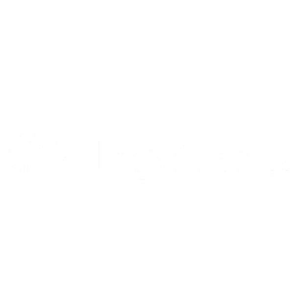 13_VillageCapital